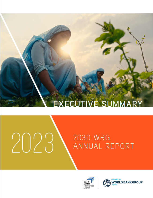 Annual Report 2023: Executive Summary
