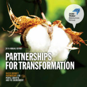 2016 Annual Report: Partnerships for Transformation