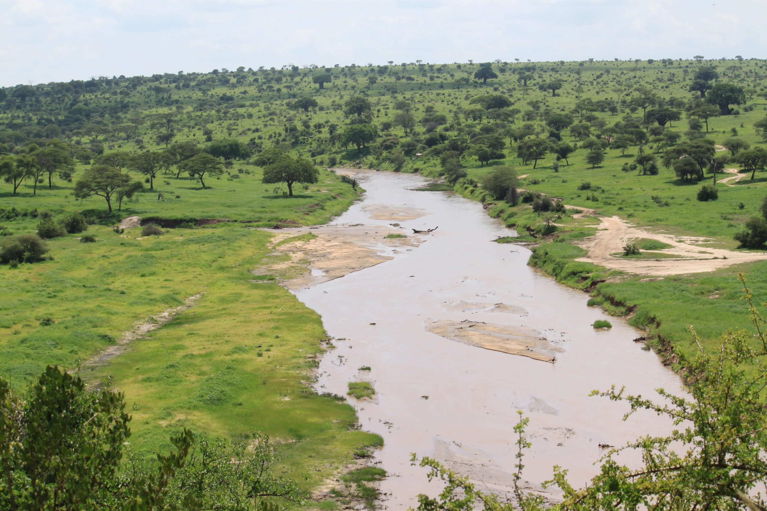 Making progress on our shared water challenges – new water stewardship ...