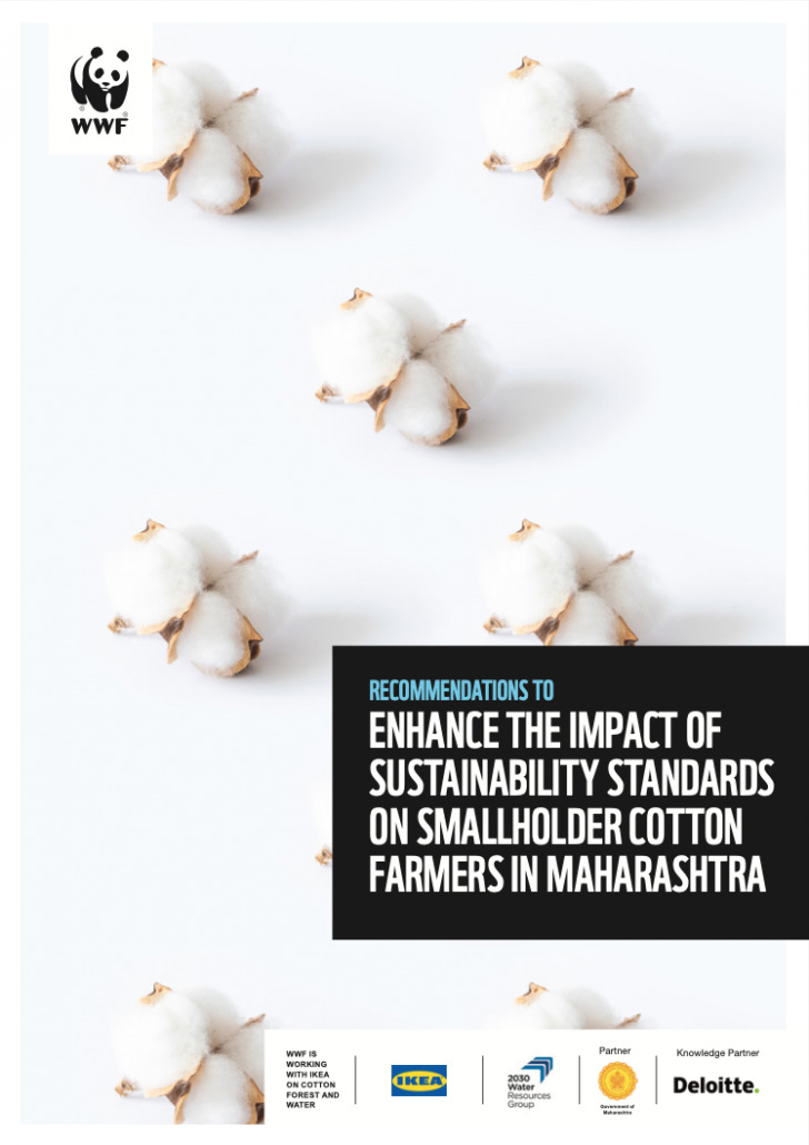 Recommendations to Enhance the Impact of Sustainability Standards on Smallholder Cotton Farmers in Maharashtra »