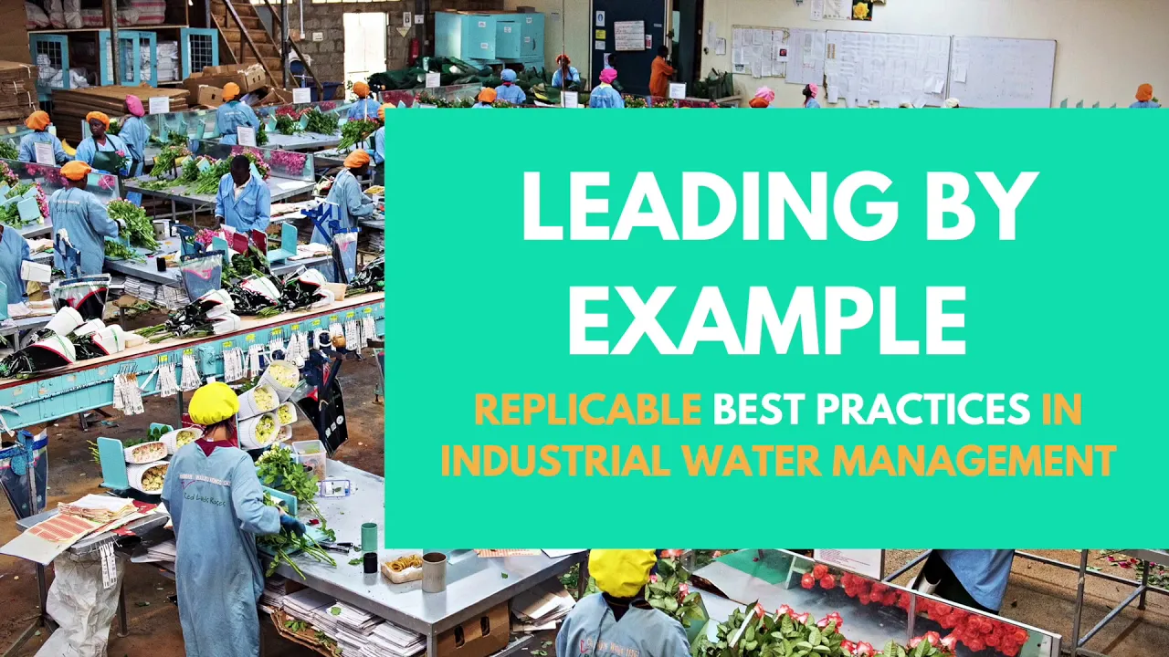 LEADING BY EXAMPLE: REPLICABLE BEST PRACTICES IN INDUSTRIAL WATER MANAGEMENT